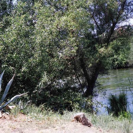 Sequoia Riverfront Cabins Three Rivers Buitenkant foto