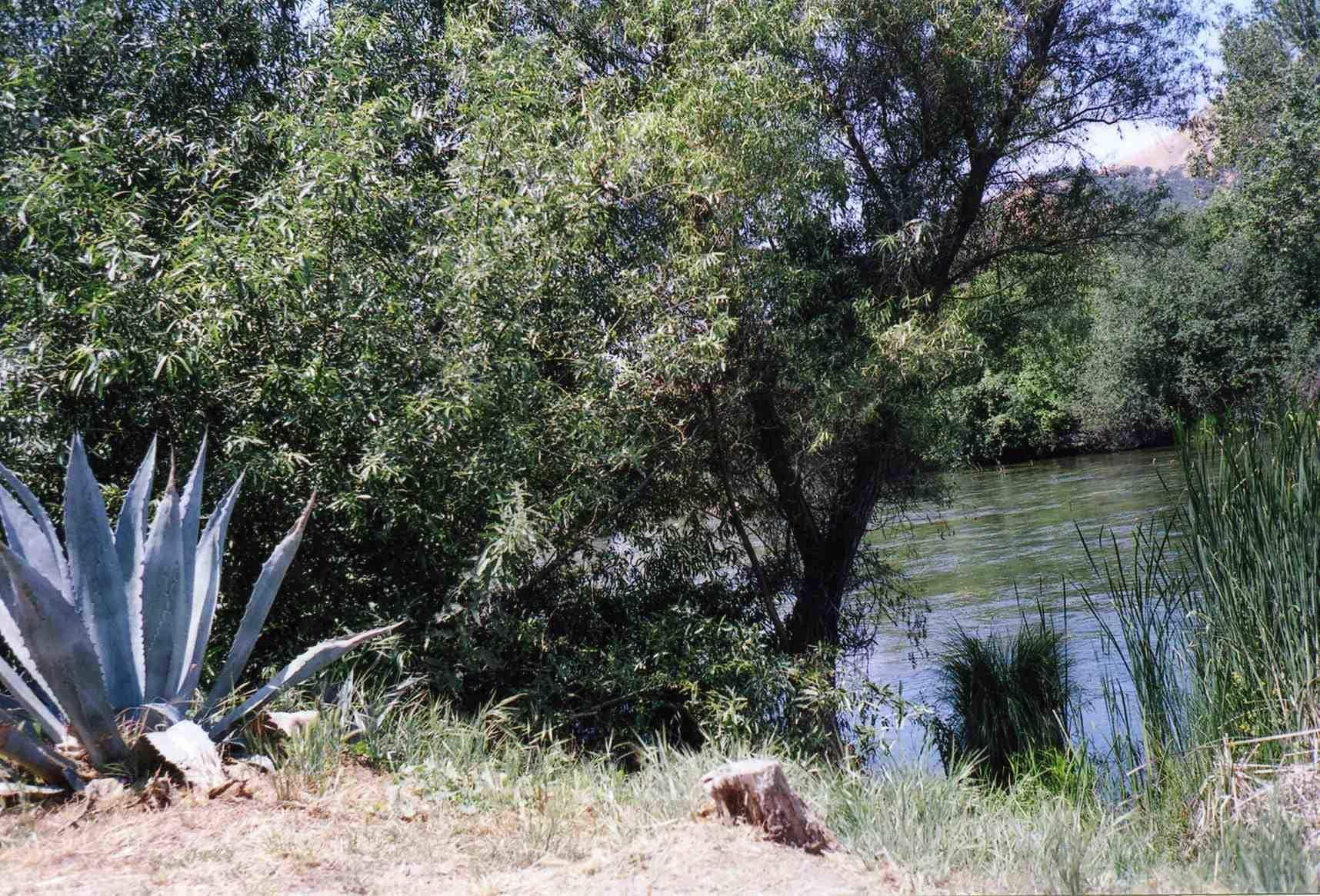 Sequoia Riverfront Cabins Three Rivers Buitenkant foto