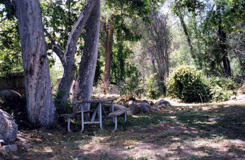 Sequoia Riverfront Cabins Three Rivers Kamer foto